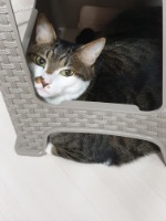 프로필 이미지
