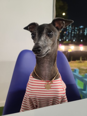 프로필 이미지