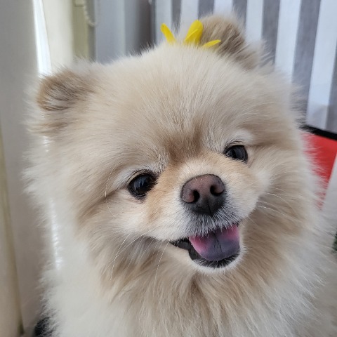 프로필 이미지