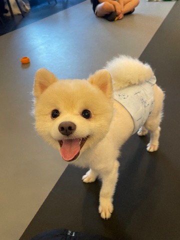 프로필 이미지