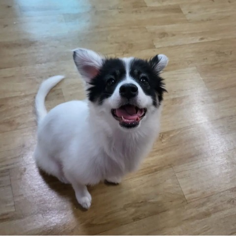 프로필 이미지