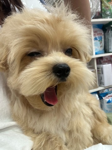 프로필 이미지