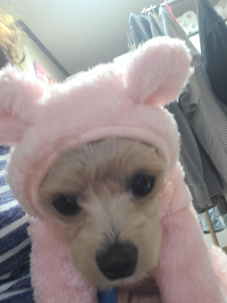 이미지