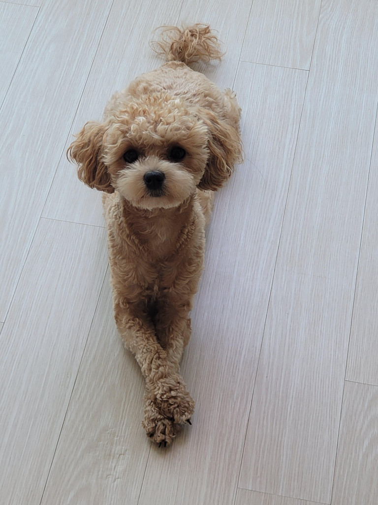 이미지