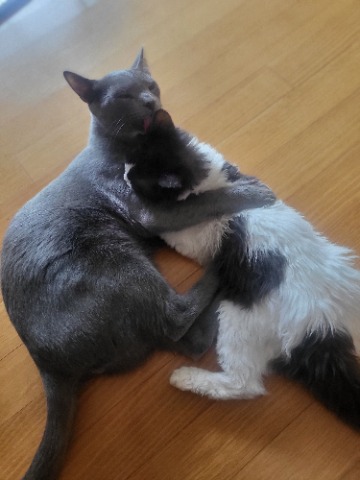 프로필 이미지