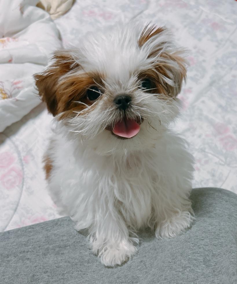 이미지