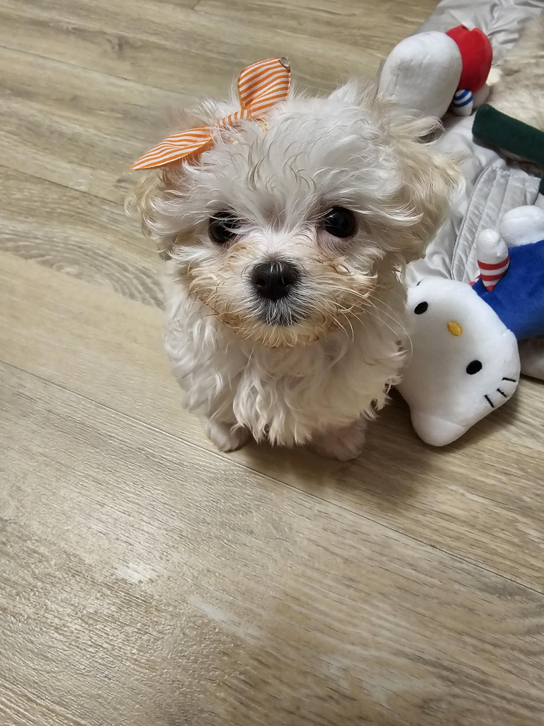 이미지