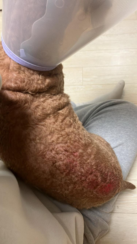 이미지