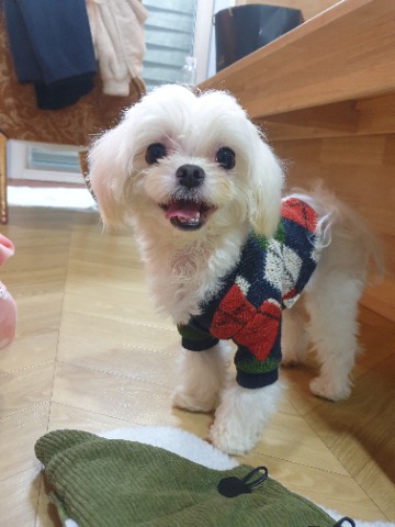 프로필 이미지