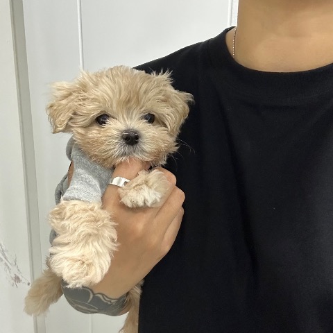 프로필 이미지