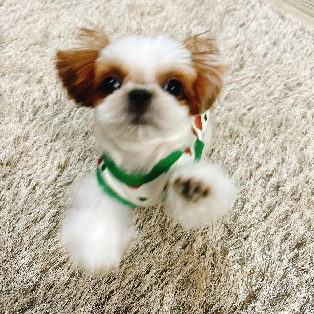 이미지