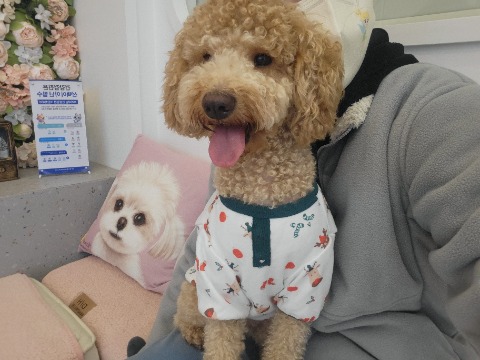 프로필 이미지