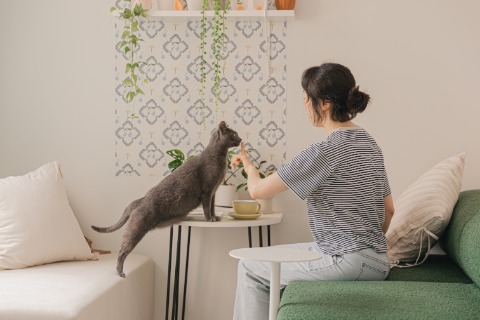 프로필 이미지