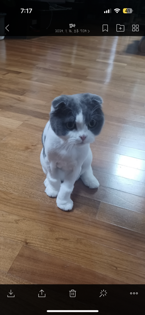 이미지