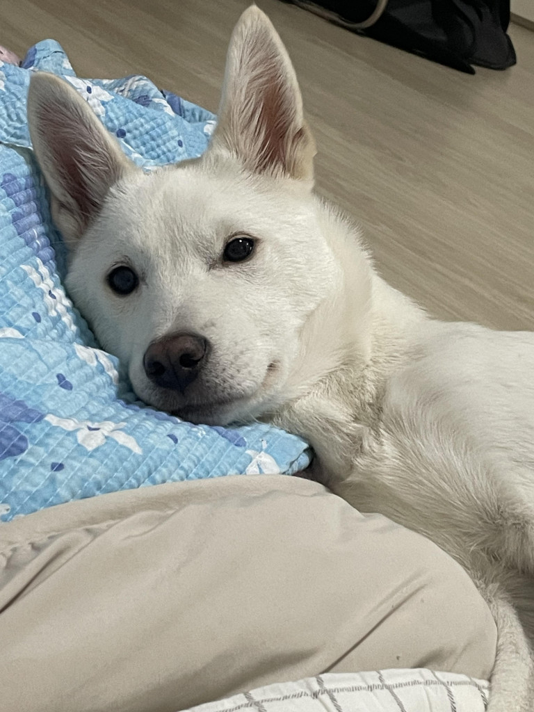 이미지