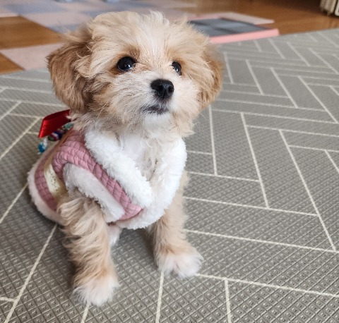프로필 이미지