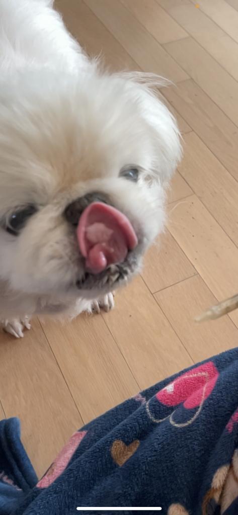 이미지