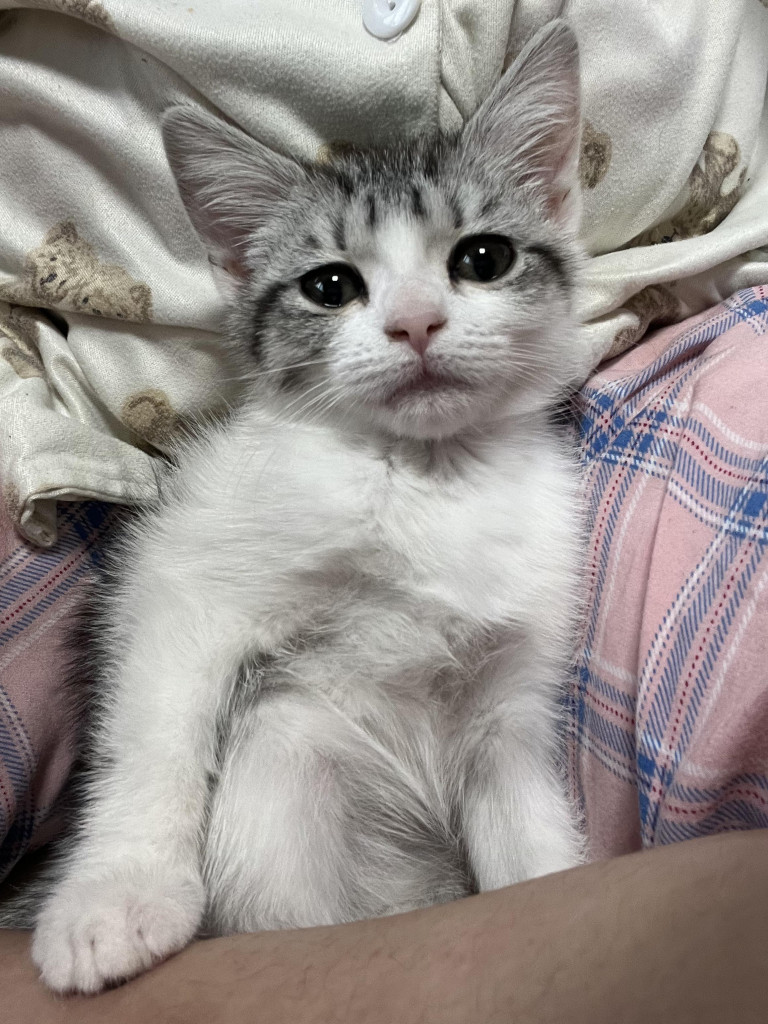 이미지