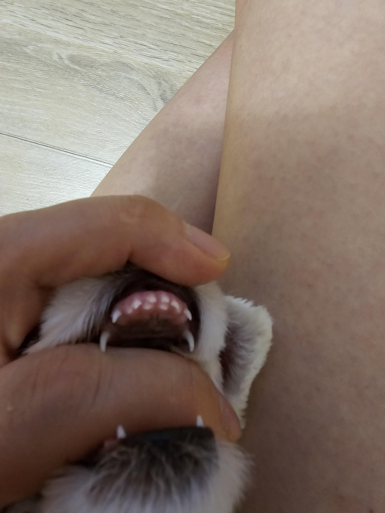 이미지