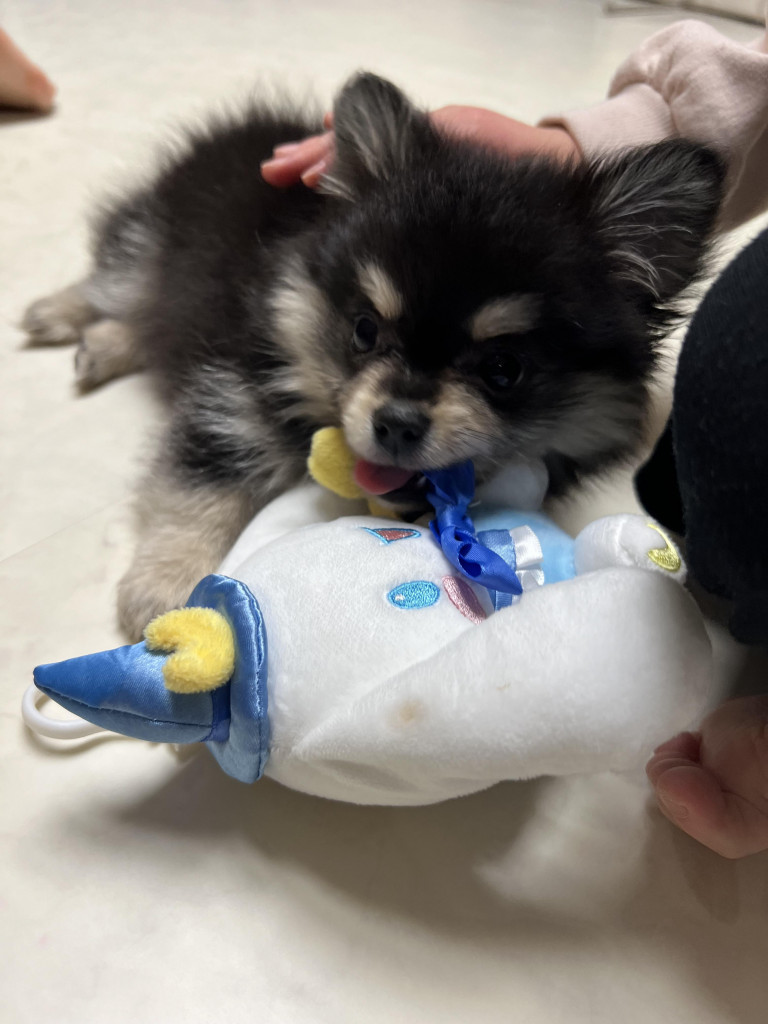 이미지