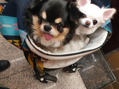 프로필 이미지
