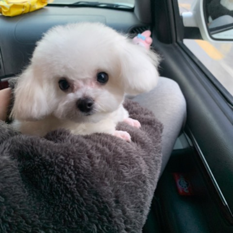 프로필 이미지