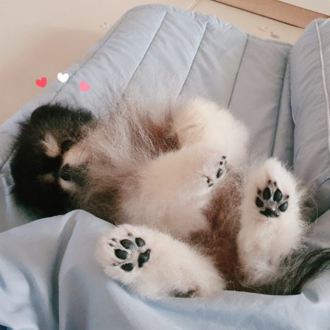 프로필 이미지