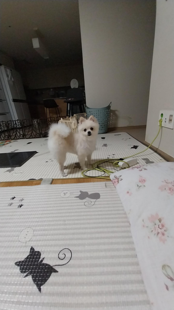 이미지