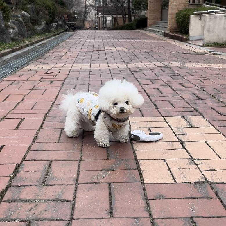 댓글 이미지