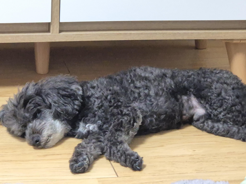 이미지
