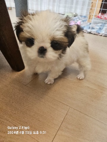 프로필 이미지