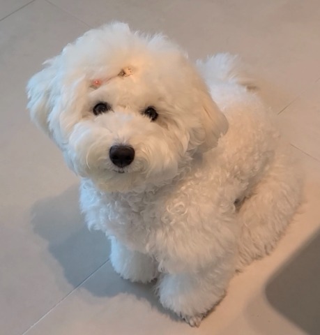 프로필 이미지
