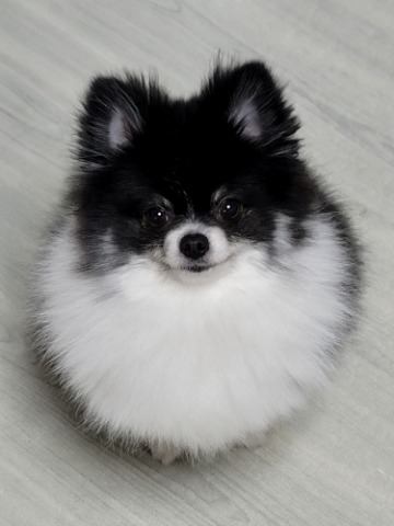 프로필 이미지