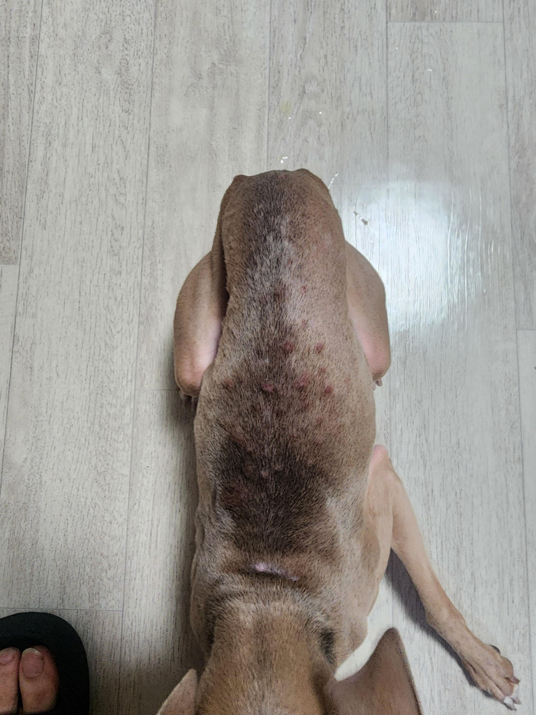 이미지