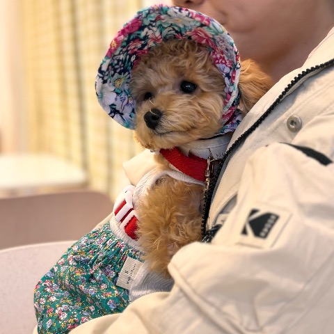 프로필 이미지