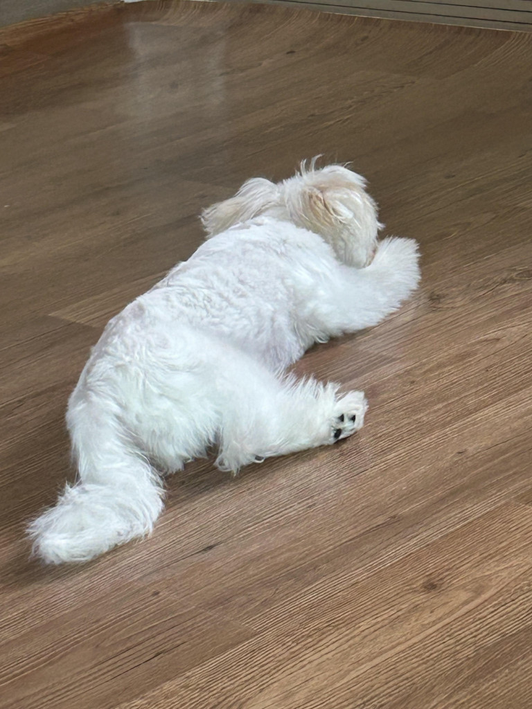 이미지