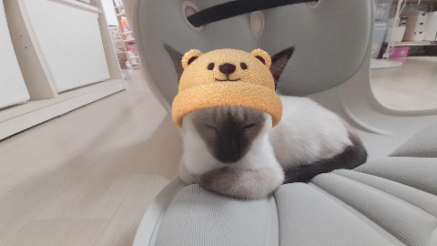 프로필 이미지
