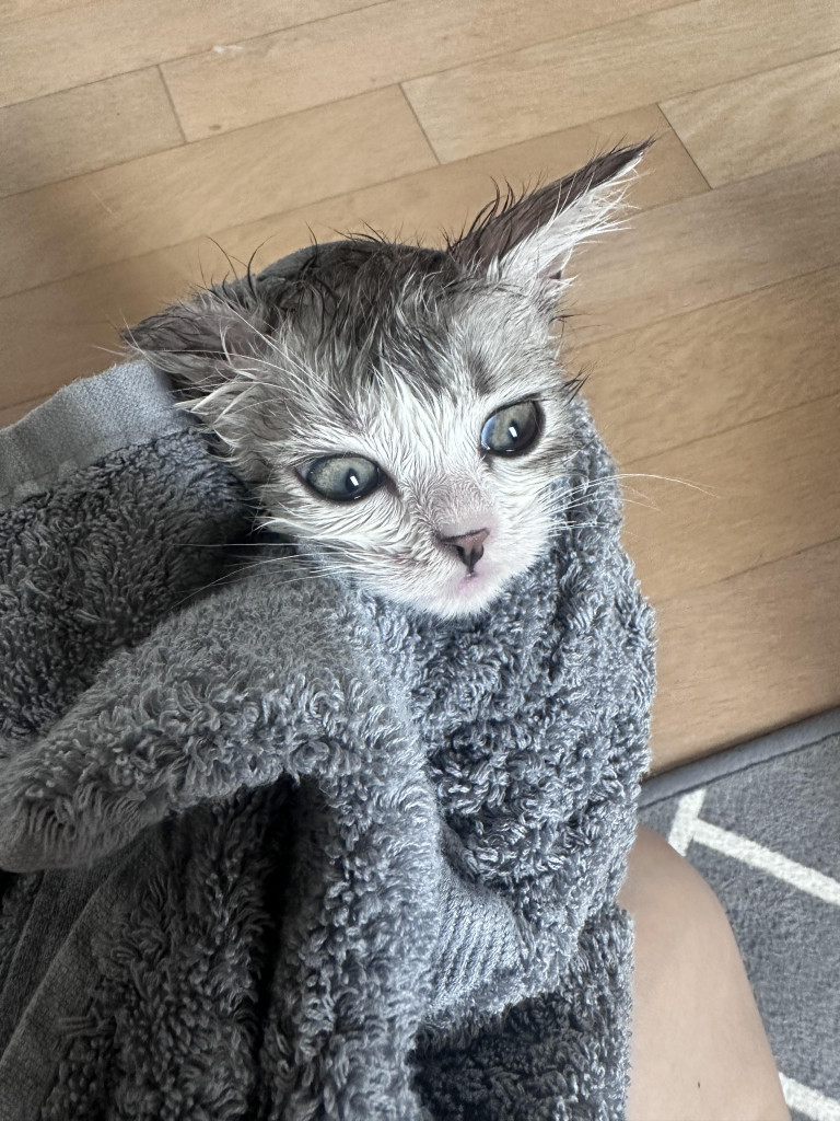 이미지