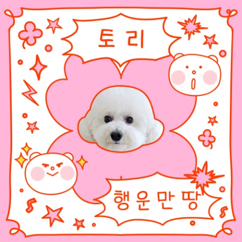 프로필 이미지