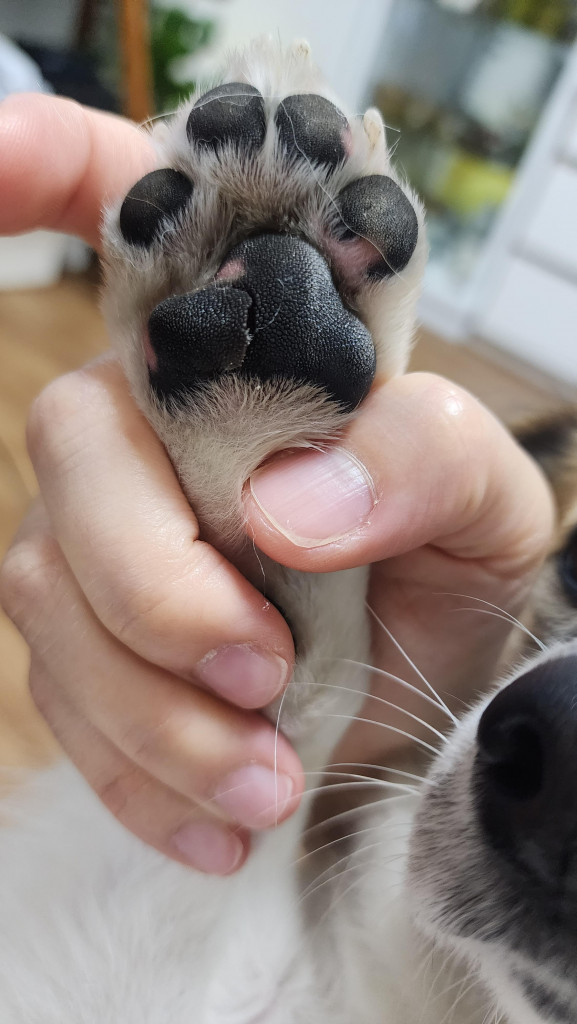 이미지