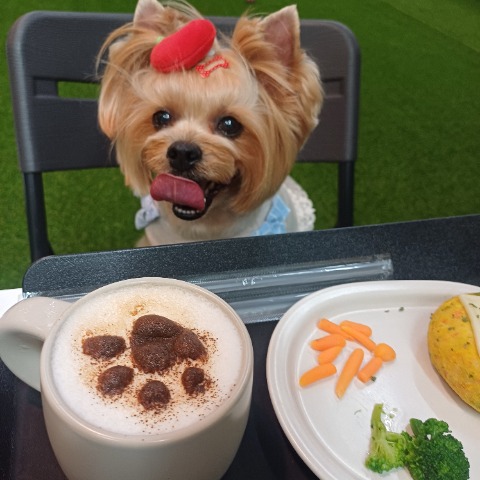 프로필 이미지