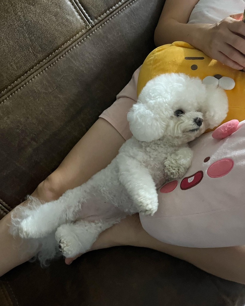 이미지