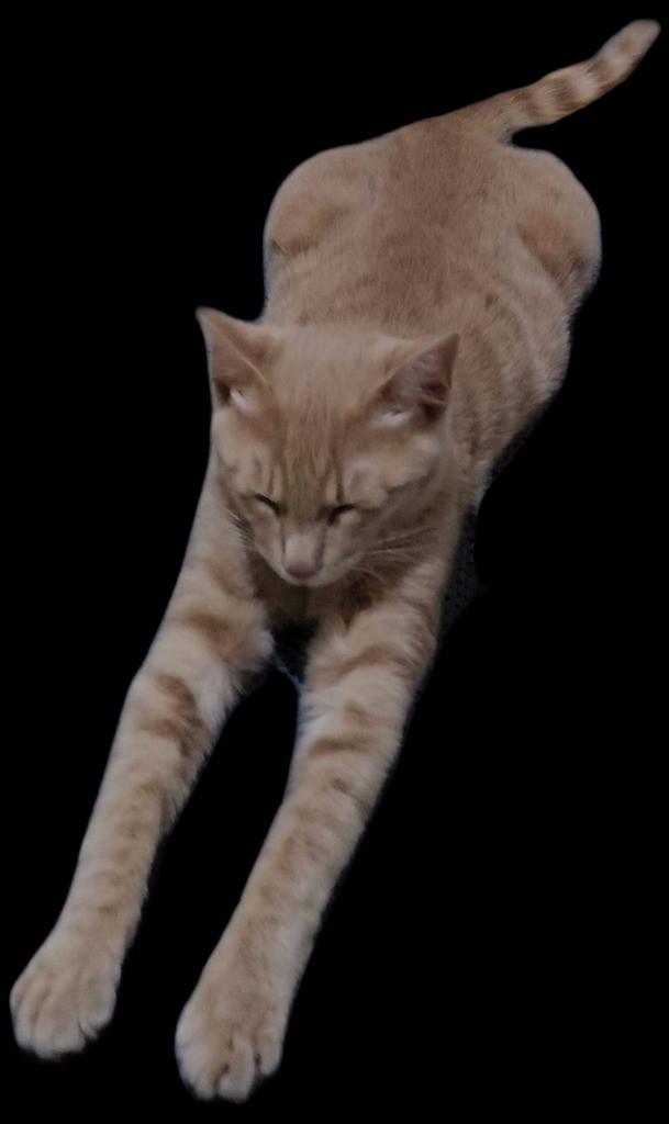 이미지