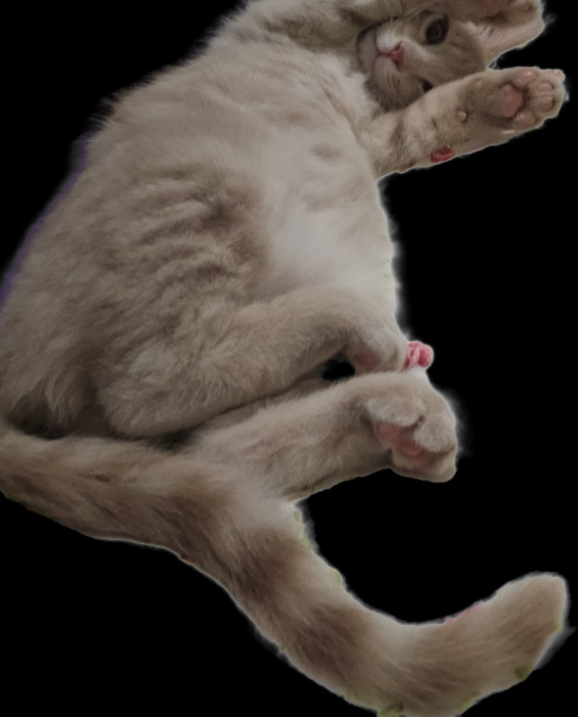 이미지