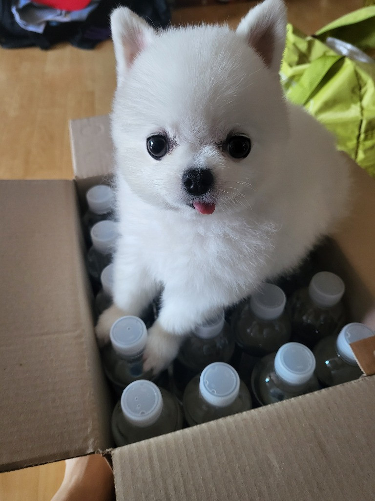 이미지