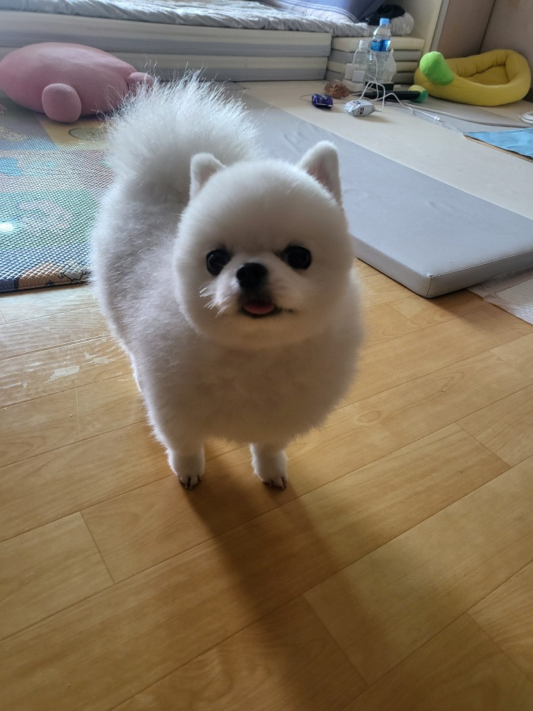 이미지