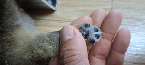 프로필 이미지