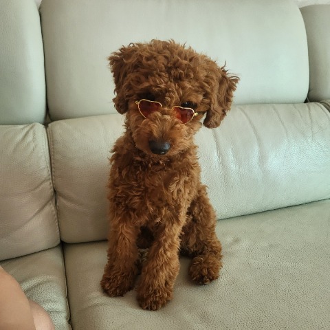 프로필 이미지