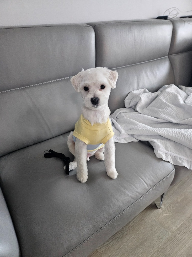 이미지