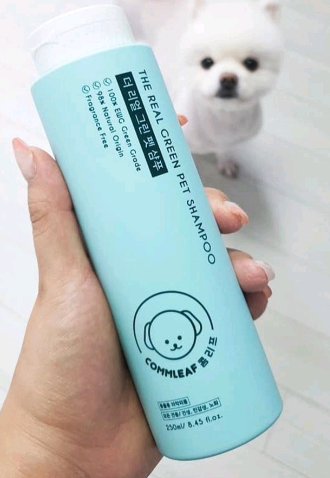 댓글 이미지